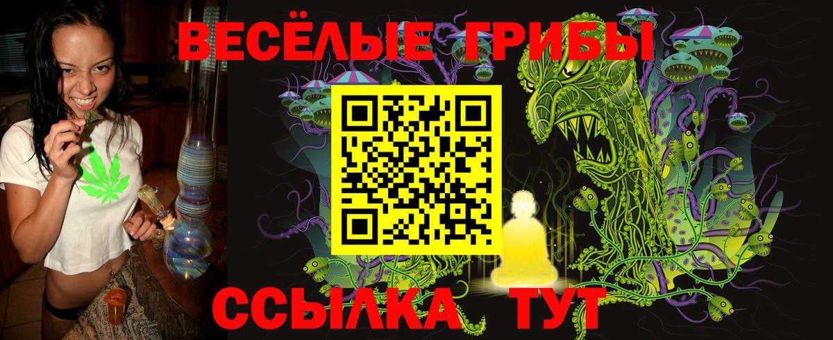Галлюциногенные грибы мицелий  Вход с VPN  Гусев 
